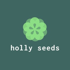 Holly Seeds