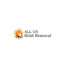 ALL US Mold Removal Irving TX