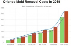 All US Mold Removal Orlando FL - Mold Remediation Services