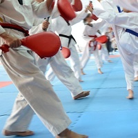 Central Florida Budokai Karate Do