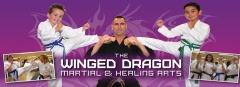 The Winged Dragon Martial Arts