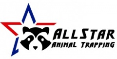 ALL STAR ANIMAL TRAPPING