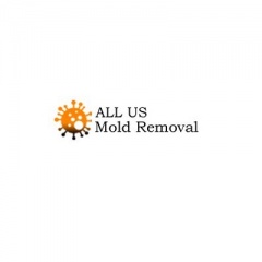 ALL US Mold Removal & Remediation - San Antonio TX
