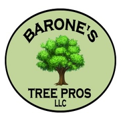 Barone's Tree Pros