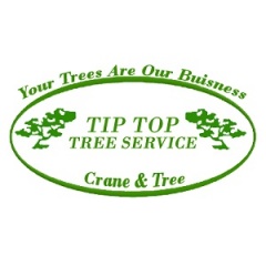 Tip Top Tree Service of Edmond