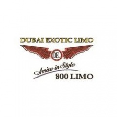 EXOTIC LIMO LLC