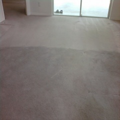 Steambrite Carpet Cleaning Services