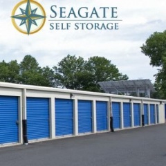 Seagate Mini Storage
