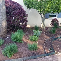 All Green Lawn & Landscaping