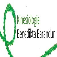 Kinesiologie in Zürich - BenediktaBarandun